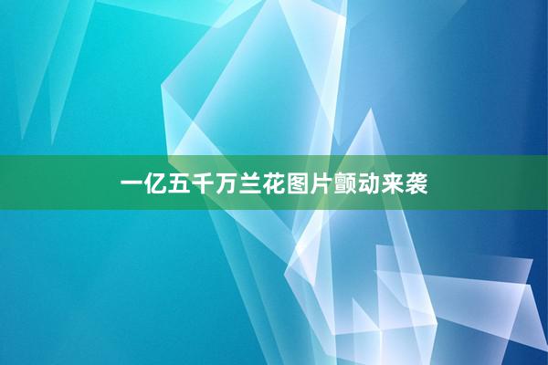 一亿五千万兰花图片颤动来袭