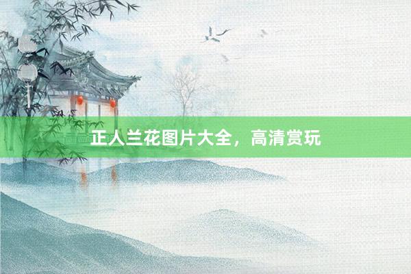 正人兰花图片大全，高清赏玩